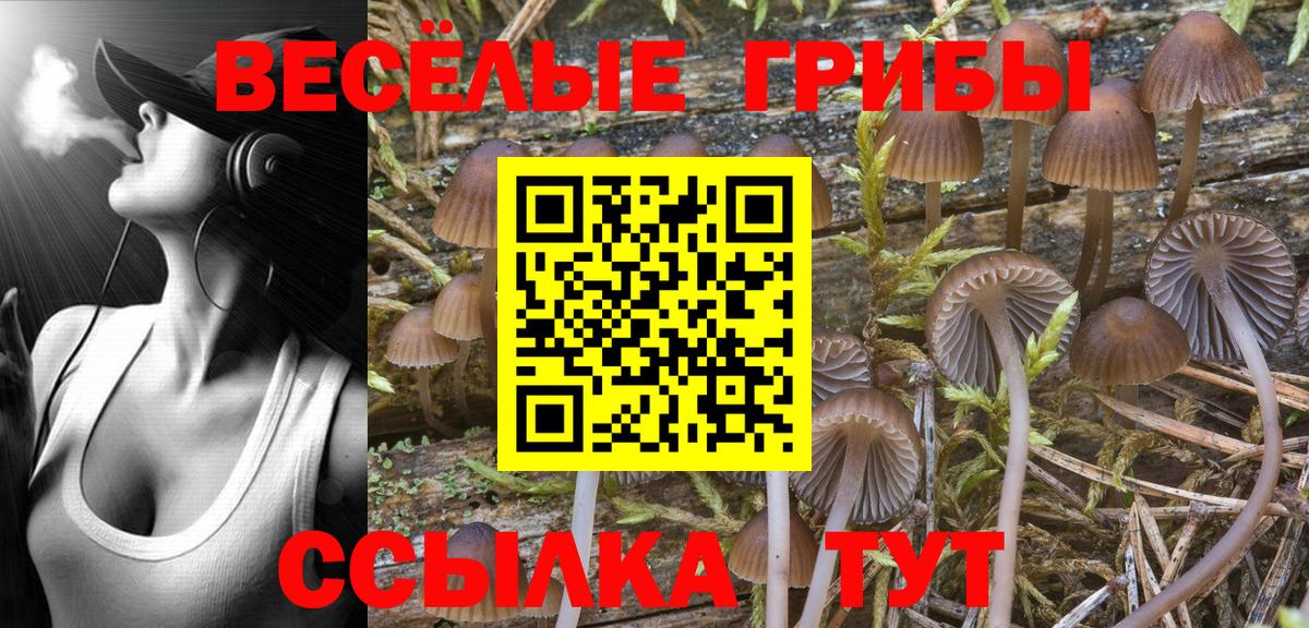 Псилоцибиновые грибы Magic Shrooms Анапа