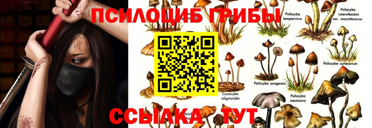 Галлюциногенные грибы MAGIC MUSHROOMS  Псилоцибиновые грибы GOLDEN TEACHER  Анапа  Вход с VPN 